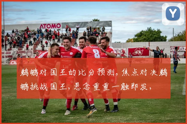 鹈鹕对国王的比分预测,焦点对决鹈鹕挑战国王,悬念重重一触即发,
