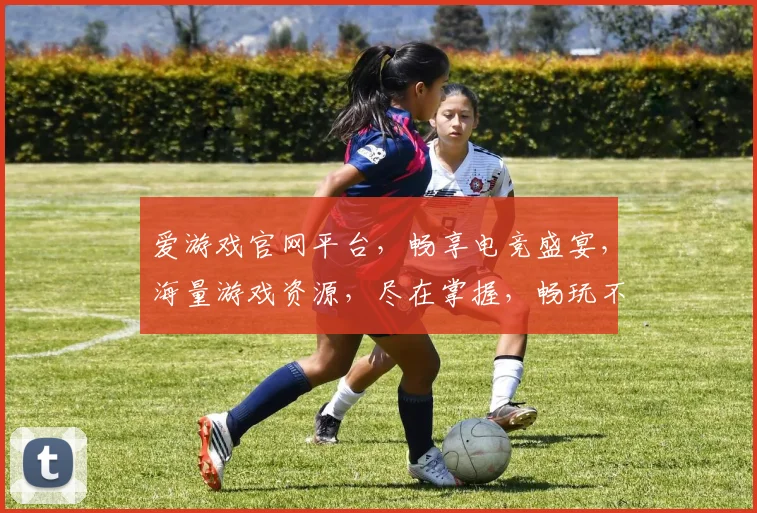 爱游戏官网平台，畅享电竞盛宴，海量游戏资源，尽在掌握，畅玩不停