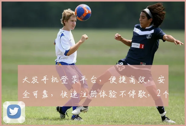 大发手机登录平台，便捷高效，安全可靠，快速注册体验不停歇，2个福利等你来
